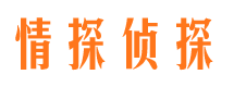 洛龙市出轨取证